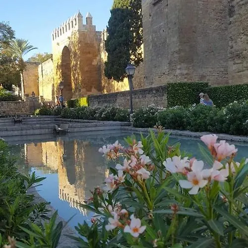 Апартаменти Centro