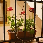 Apartment Centro