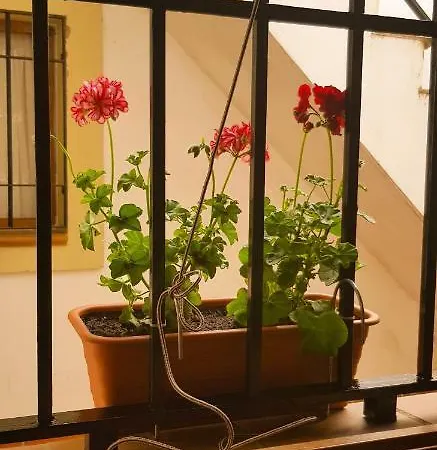 Appartement Centro